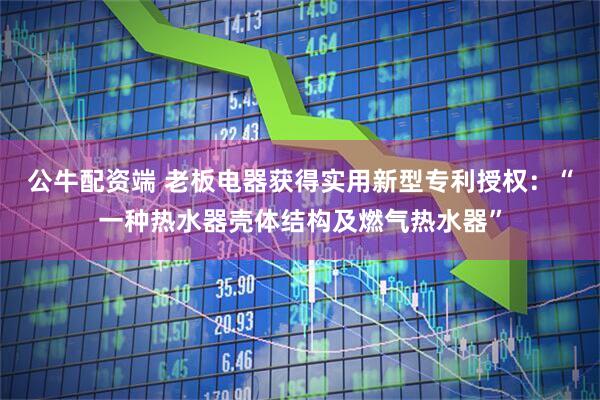 公牛配资端 老板电器获得实用新型专利授权：“一种热水器壳体结构及燃气热水器”