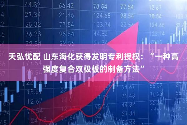 天弘忧配 山东海化获得发明专利授权：“一种高强度复合双极板的制备方法”