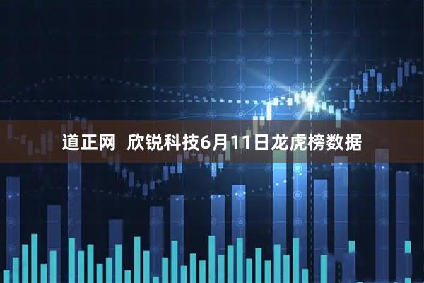 道正网  欣锐科技6月11日龙虎榜数据