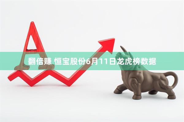 翻倍赚 恒宝股份6月11日龙虎榜数据