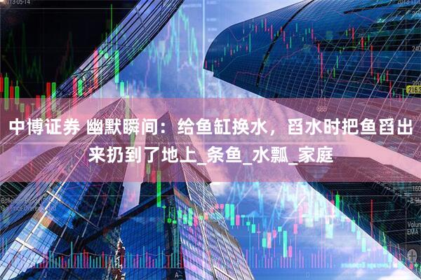 中博证券 幽默瞬间：给鱼缸换水，舀水时把鱼舀出来扔到了地上_条鱼_水瓢_家庭