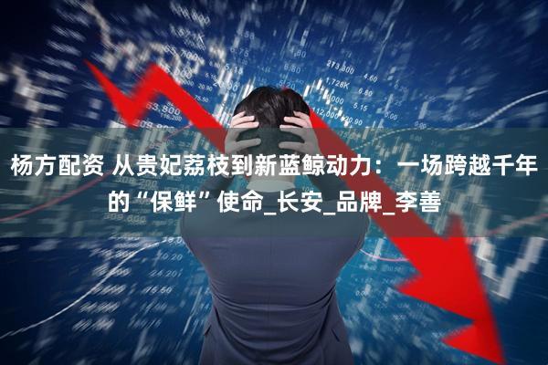 杨方配资 从贵妃荔枝到新蓝鲸动力：一场跨越千年的“保鲜”使命_长安_品牌_李善