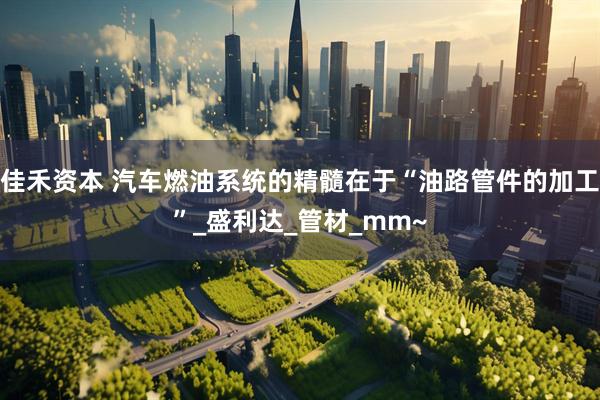 佳禾资本 汽车燃油系统的精髓在于“油路管件的加工”_盛利达_管材_mm~