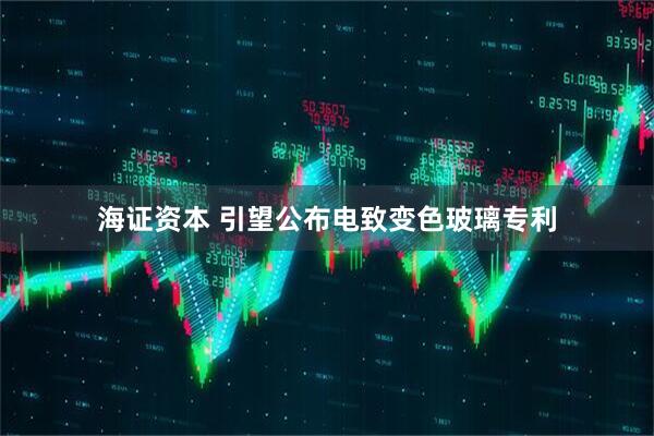 海证资本 引望公布电致变色玻璃专利