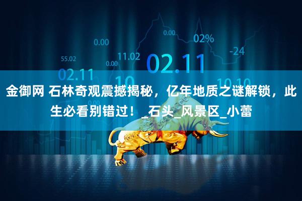 金御网 石林奇观震撼揭秘，亿年地质之谜解锁，此生必看别错过！_石头_风景区_小蕾