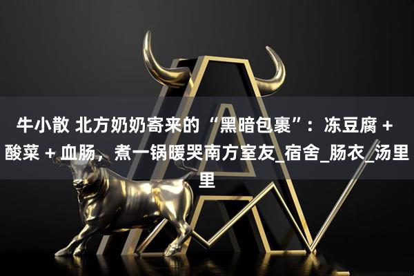牛小散 北方奶奶寄来的 “黑暗包裹”：冻豆腐 + 酸菜 + 血肠，煮一锅暖哭南方室友_宿舍_肠衣_汤里